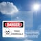Signmission Toxic Chemicals Danger Sign, Plastic, 10in W x 7in L, 2PK OS-2PACK-DS-P-710-L-1591 - alternate 2